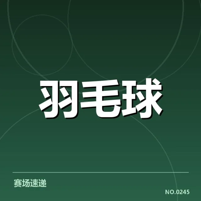 林丹比赛判罚：场上公正性与裁判权威质疑